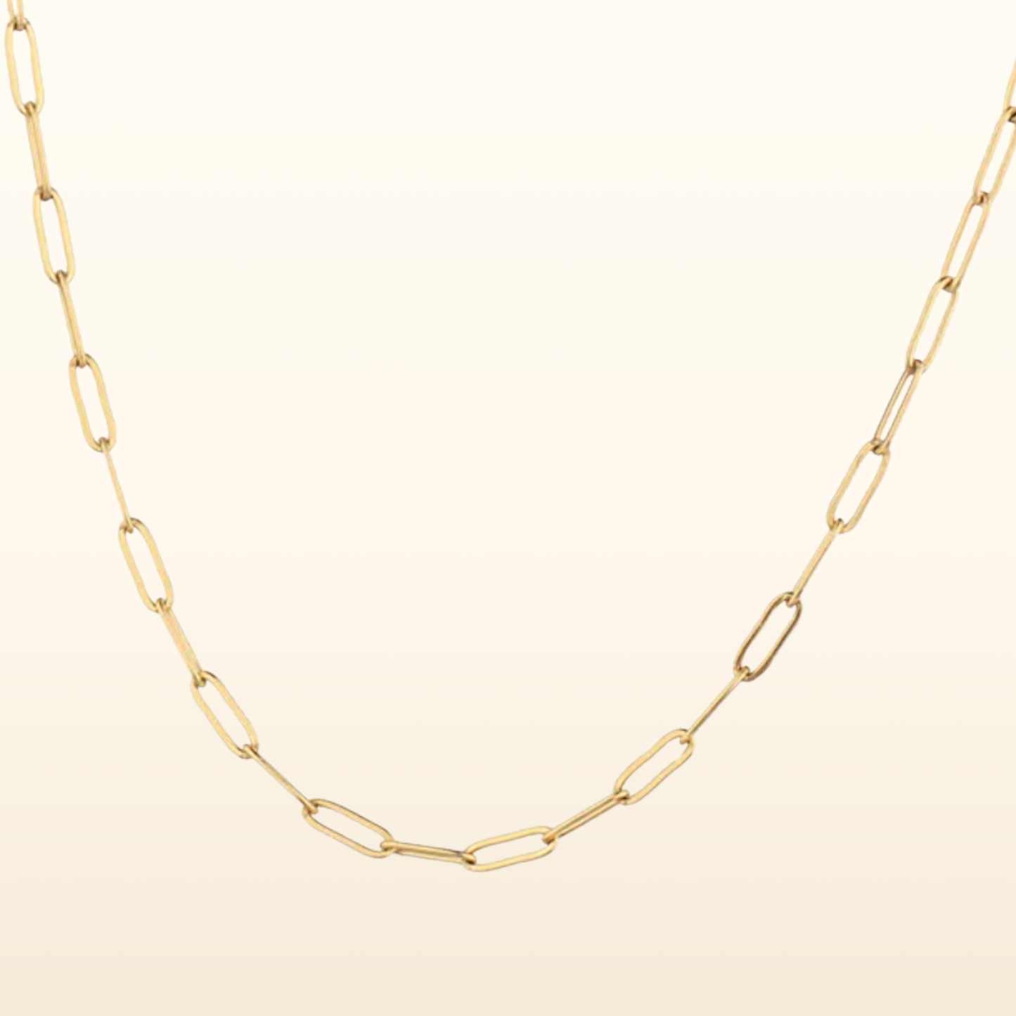 The Everyday Chain Necklace