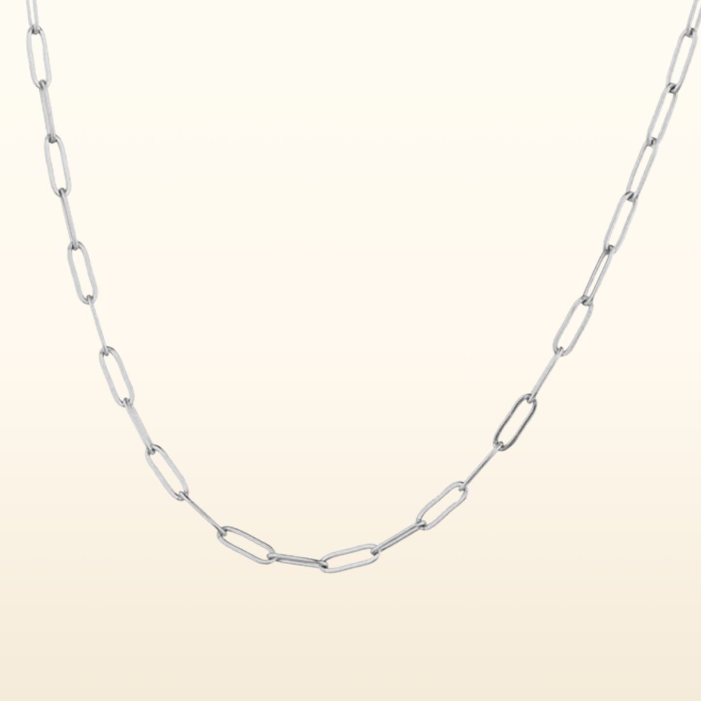 The Everyday Chain Necklace